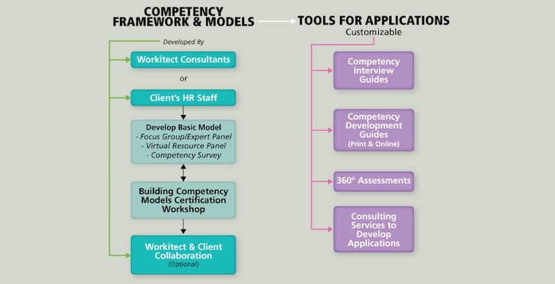 Components of competency framework process