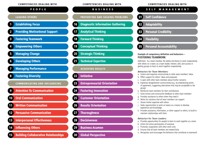 Compare Competency Dictionaries - Workitect