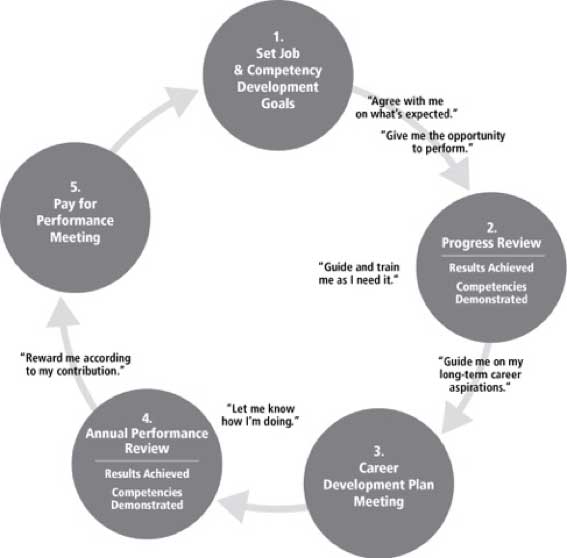 Graphic of the Employees perspective for Performance Management Process