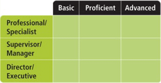 Competency Dictionary 