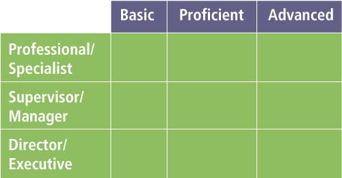 The Iceberg Model Graphic