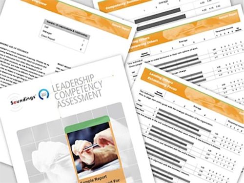 360° Leadership Assessments