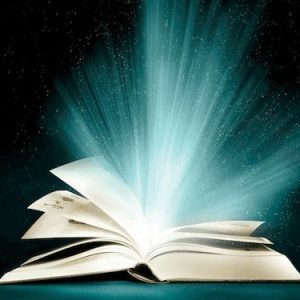 Competency Dictionary (License)