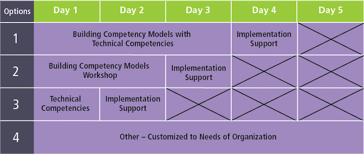 Guided Launch Of A Competency Modeling Project Customized training and consulting